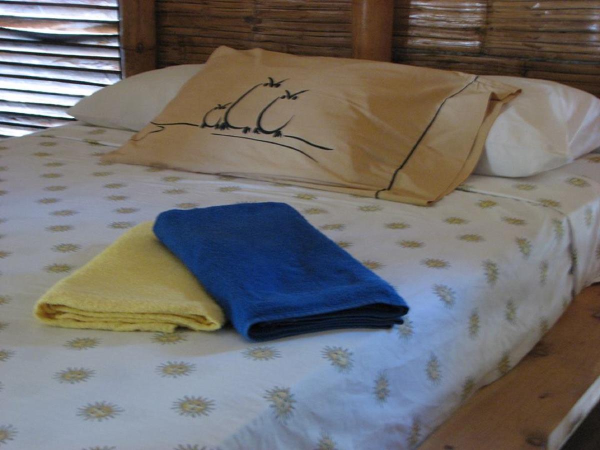 Eco-Hotel Playa Quilombo Las Lisas 외부 사진