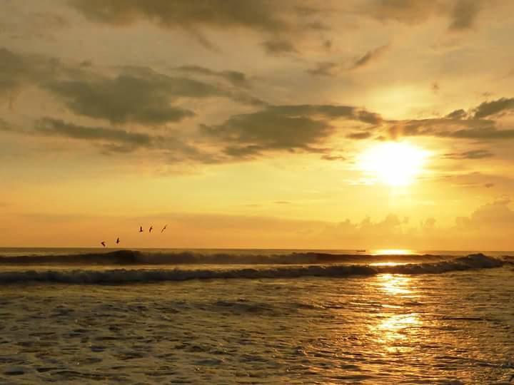 Eco-Hotel Playa Quilombo Las Lisas 외부 사진