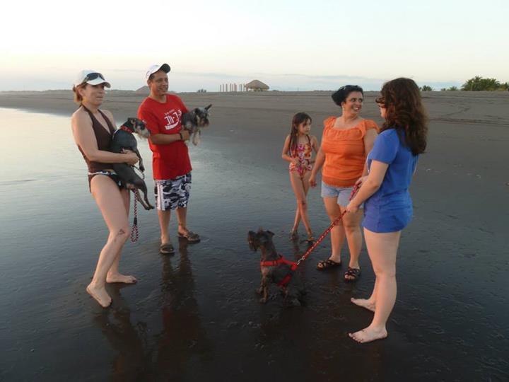 Eco-Hotel Playa Quilombo Las Lisas 외부 사진